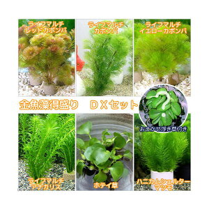 ij_JE@_JE@DXZbgi1Zbgj