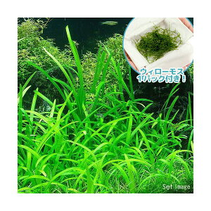 ijEB[XsO~[`F[TW^Ai1Zbgj