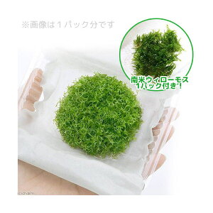 ijăEB[X[WVAitji1Zbgj@kCEBq֗vۉ