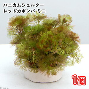 ij_JE@njJVF^[@bhJ{o@~ji1j