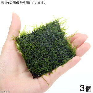 ij琬ρ@EB[X@n[tNbVitji_ji3j