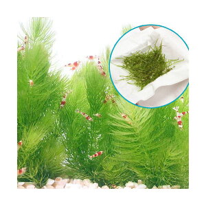 ijEB[X@1pbN{}ci5{jitji_ji1Zbgj