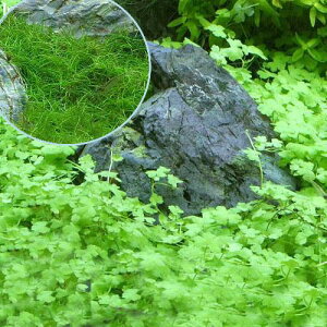 ijI[XgA@m`h{wA[OX@Zbgitji_j@i1Zbgj