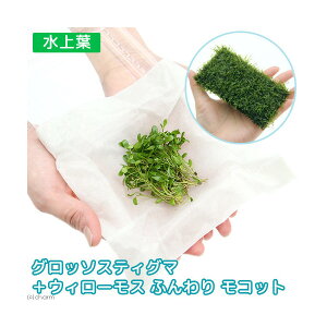 ijOb\XeBO}itjipbNj{琬ρ@EB[X@NbVitji1j@kCEBq֗vۉ