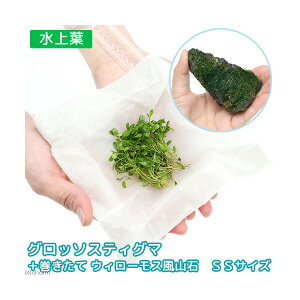 ijOb\XeBO}i1pbNj{ā@EB[X@R΁@SSTCYi8cmȉjie1j@kCEBq֗vۉ