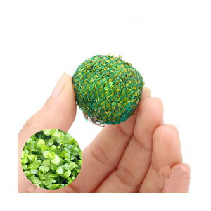 ijā@j[[Wp[OX@{[itji_ji3j