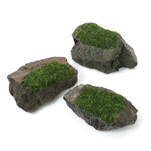 ijā@EB[X@~bNX@R΁@MTCYi14cmjitji_ji1j