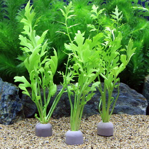 ij[ICgOiO[jEH[^[XvCgitji_ji2j