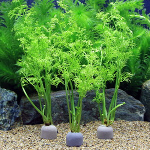 ij[ICgOiO[jxgiYXvCgitji_ji2j