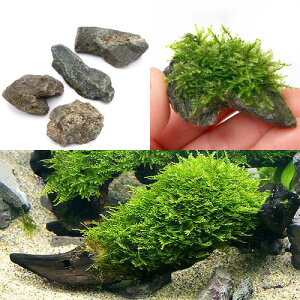 ij琬ρ@ăEB[X@CAEgZbgitji_ji1j@{Bl