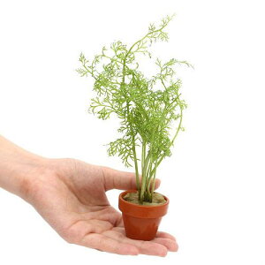 ijxgiYXvCg@~jfĂitji_ji3j