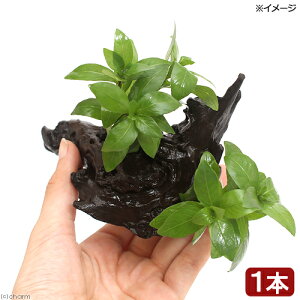 ijnCOtB@|Xy}@ؕt@SSTCYitji_ji1{ji10cmj