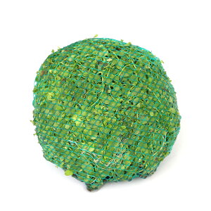 ijā@j[[Wp[OX@[@STCYitji_ji1j