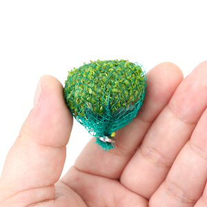 ijā@j[p[OX@{[itji_ji1j