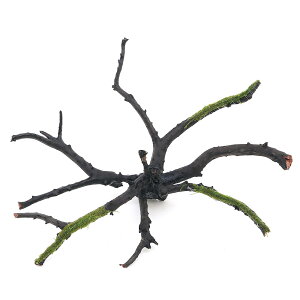 (水草)巻きたて バブルモス 枝状流木 Mサイズ(約20cm〜)(水中葉)(無農薬)(1本)