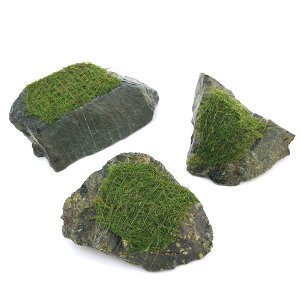 ijā@ouX@R΁@STCYi10cmjitji_ji3j