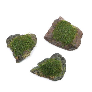 ijā@ouX@R΁@SSTCYi8cmȉjitji_ji3j