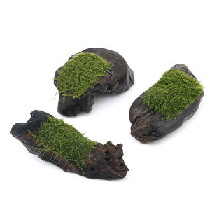 ijā@ouX@؁@SSTCYi10cmȉjitji_ji3{j