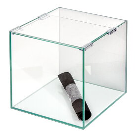 バックスクリーン貼付済　サンド　オールガラス25cm水槽　アクロ25N（25×25×25cm）（単体）　お一人様2点限り　関東当日便