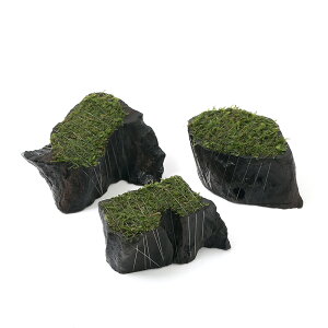 ijā@EB[X@؂芔؁@~jTCYitji_ji3j