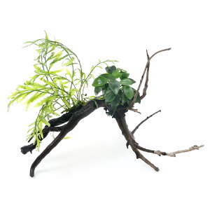 ijā@{reBX@qfBeBiiv`@}󗬖؁@STCYi15cmji1{j