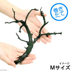 ijā@EH[^[tFU[@}󗬖؁@MTCYi20cm`jitji_ji1j