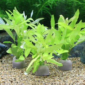 ij[ICgOiO[jnCOtB@|Xy}itji_ji1j