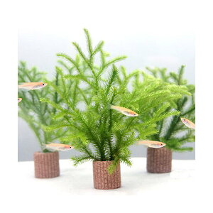 ij_J̎Yp@Ct}`ijqJQmJYiAji3j