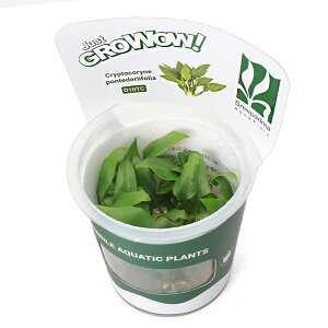 ijgD|{GROWOWI@NvgRl@|eftHAi_ji1Jbvj@kCEBq֗vۉ