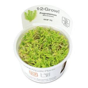 ijgD|{1|2|GROWI@|SXe@fJlVXi_ji1Jbvj@kCEBq֗vۉ