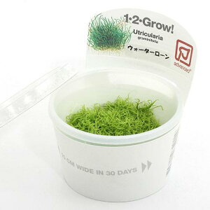 ijgD|{1|2|GROWI@EH[^[[@gsJi_ji1Jbvj@kCEBq֗vۉ