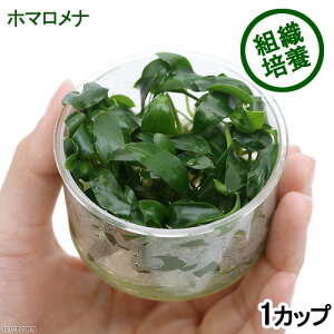 ijgD|{@z}ispDXJ_EYi_ji1Jbvj@kCEBq֗vۉ