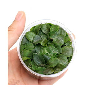 ijgD|{@Qih@~[{fB@bh@Eh[tiC{CXji1Jbvj@kCEBq֗vۉ