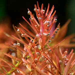 ij^@gfBtHA@xgi@Hfraitji_ji20{j