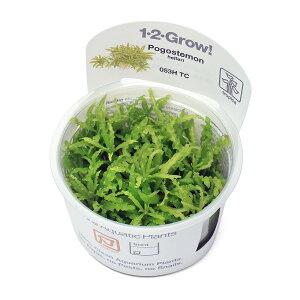 ijgD|{1|2|GROWI@|SXe@wtF[@gsJ@i_ji1Jbvj@kCEBq֗vۉ