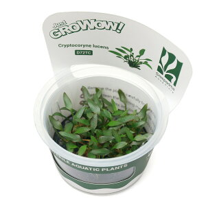 ijgD|{GROWOWI@NvgRl@[PXi_ji1Jbvj@kCEBq֗vۉ