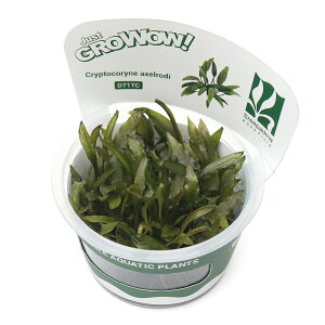 ijgD|{GROWOWI@NvgRl@ANZfBi_ji1Jbvj@kCEBq֗vۉ