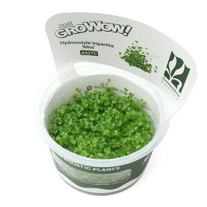 ijgD|{GROWOWI@I[XgAm`h@~ji_ji1Jbvj@kCEBq֗vۉ