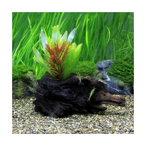 ɒށI@`󂨔C@1@i15cmj@1{