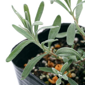 iϗtAjn[uc@x_[@CObV@u[}Ee@3i1|bgj@ƒ؉