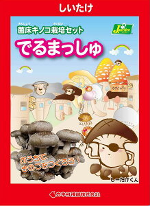 iϗtAĵ͔|Lbg@ł܂@i1j@ƒ؉