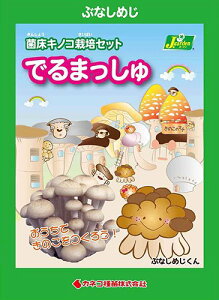 iϗtAĵ͔|Lbg@ł܂@ԂȂ߂i1j@ƒ؉