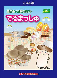 iϗtAĵ͔|Lbg@ł܂@񂬁i1j@ƒ؉