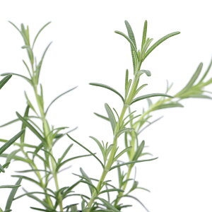 iϗtAjn[uc@[Y}[@ItBViX@@3i1|bgj@ƒ؉