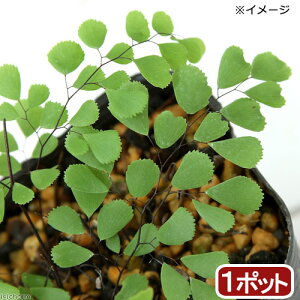 iR쑐jV_irjnRlV_irj3i1|bgjΐN