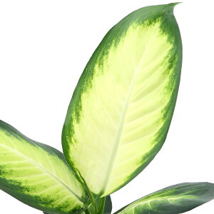 iϗtAjfBtFoLA@}Ak@4i1j