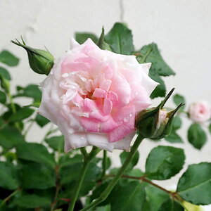 iϗtAjhtg[Y@XEB[ghtg@4i1j@PVP