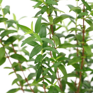 iϗtAjn[uc@}[g@h[t@3i1|bgj@ƒ؉