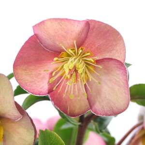 iϗtAjNX}X[Y@XKN@A[[[Y@5i1j