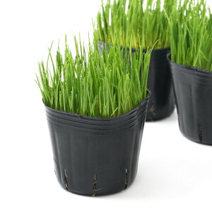 iϗtAjőIׂ@C^ACOXiZ߁j@3i5|bgj@_